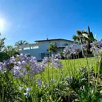 -villa With Swimming Pool Dei Marmi- *