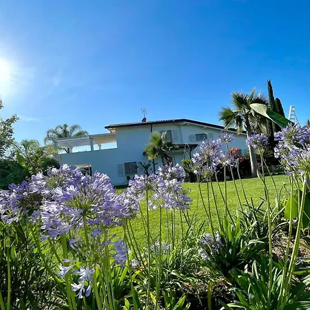 -villa With Swimming Pool Dei Marmi- *